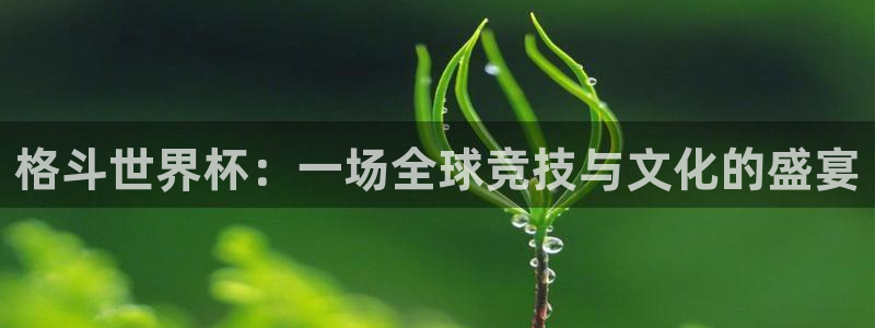 世界杯对阵表：格斗世界杯：一场全球竞技与文化的盛宴