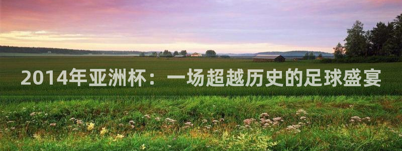 世界杯决赛预测：2014年亚洲杯：一场超越历史的足球盛宴