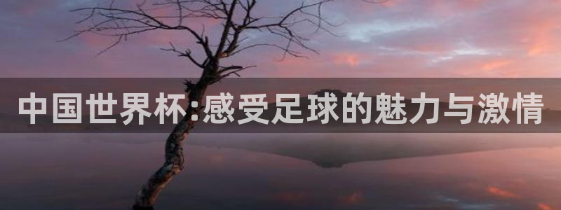 2026年世界杯赛程表时间：中国世界杯:感受足球的魅力与激情