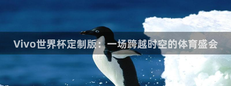 世界杯足球直播：Vivo世界杯定制版：一场跨越时空的体育盛会