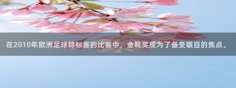 2026世界杯足球赛程时间表：在2010年欧洲足球锦标赛的比赛中，金靴奖成为了备受瞩目的焦点。
