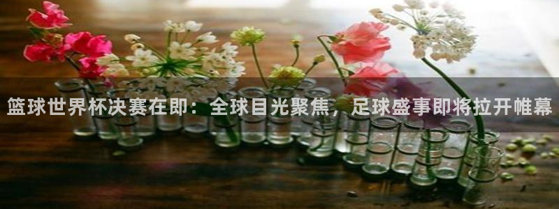 美洲杯直播：篮球世界杯决赛在即：全球目光聚焦，足球盛事即将拉开帷幕