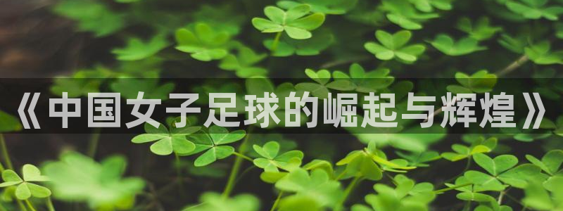 世界杯欧洲预选赛赛程：《中国女子足球的崛起与辉煌》