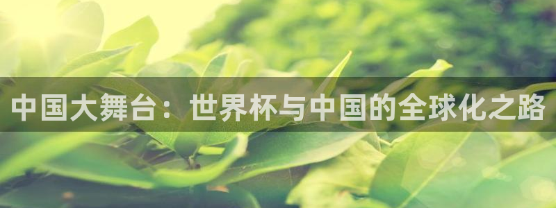 世界杯直播观看：中国大舞台：世界杯与中国的全球化之路