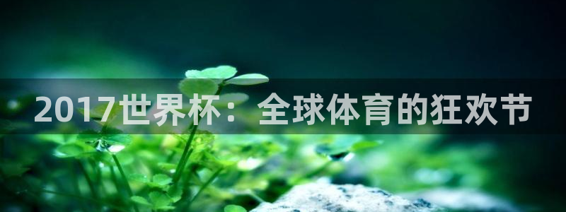 世界杯足球：2017世界杯：全球体育的狂欢节
