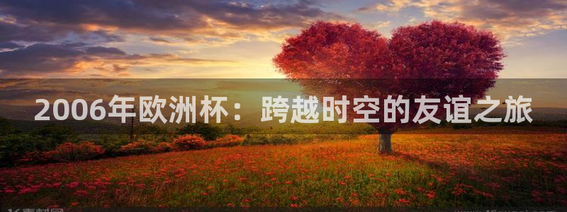 世界杯今年：2006年欧洲杯：跨越时空的友谊之旅