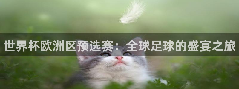 世界杯球赛：世界杯欧洲区预选赛：全球足球的盛宴之旅