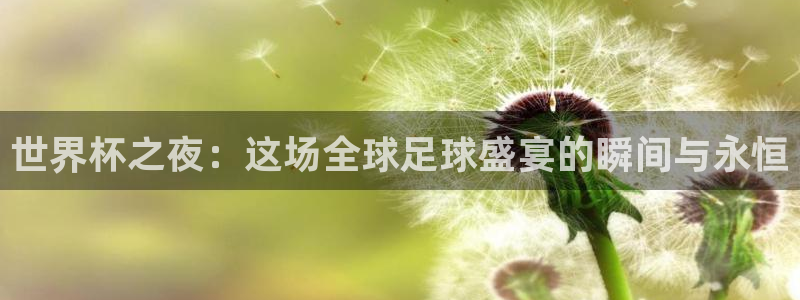 世界杯球队：世界杯之夜：这场全球足球盛宴的瞬间与永恒