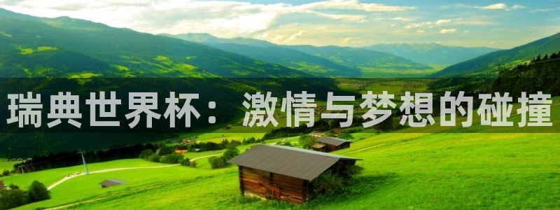 世界杯 2026：瑞典世界杯：激情与梦想的碰撞