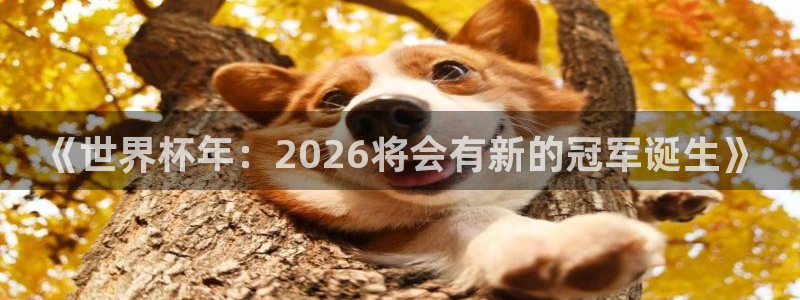 世界杯时间：《世界杯年：2026将会有新的冠军诞生》