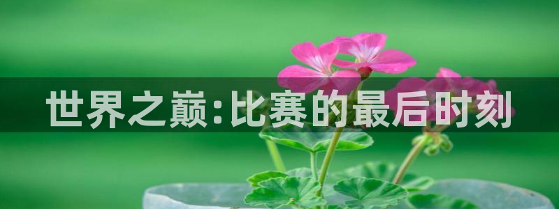 世界杯决赛圈球队：世界之巅:比赛的最后时刻